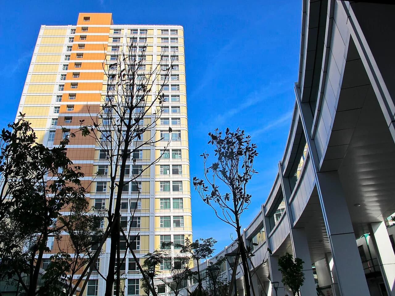 Sun Yat-Sen University Cancer Center — Hospital exterior · photographed in 2013